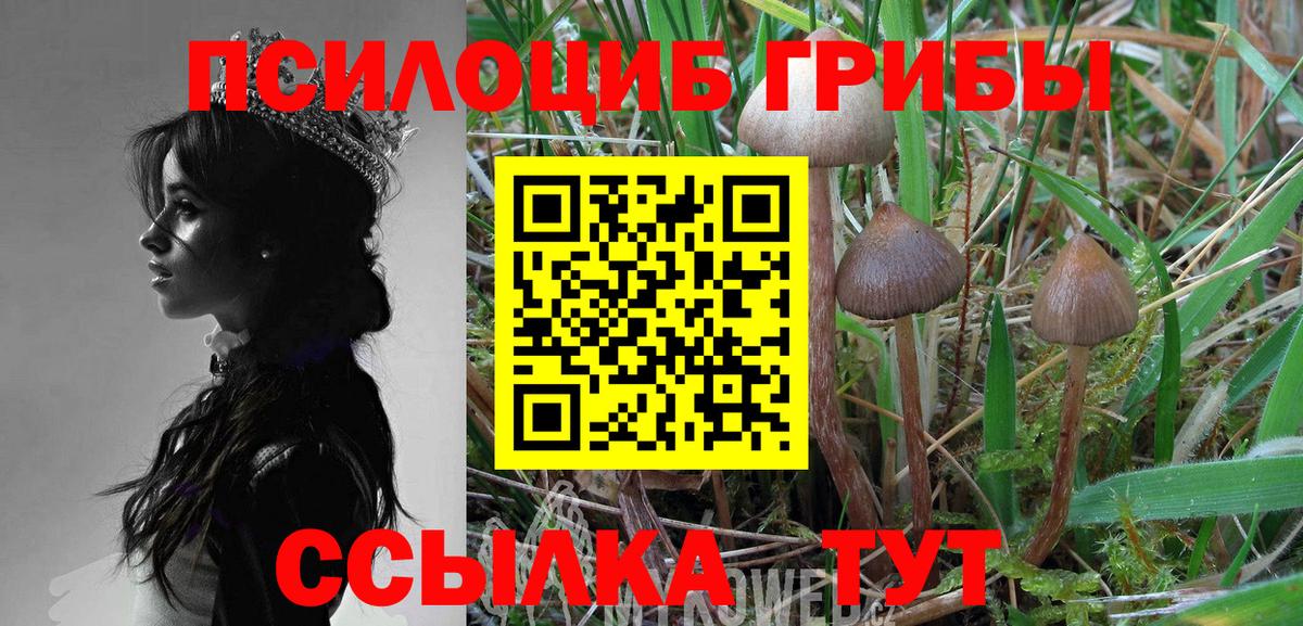 Псилоцибиновые грибы MAGIC MUSHROOMS Саров