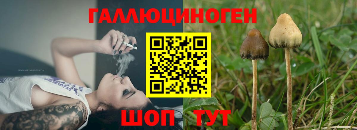 Саров  Псилоцибиновые грибы мухоморы  Вход с VPN 