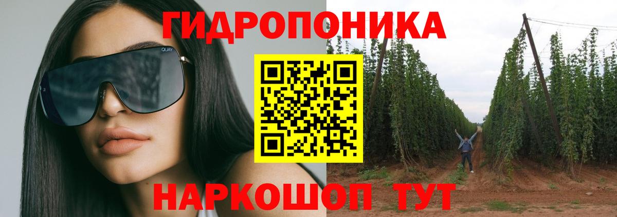 Канабис гибрид Саров